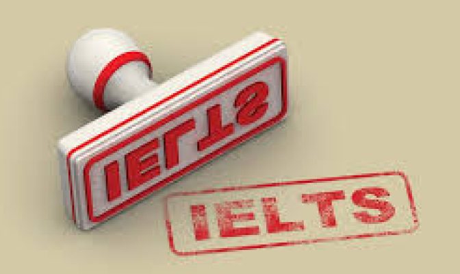 What is TRF Verification System?